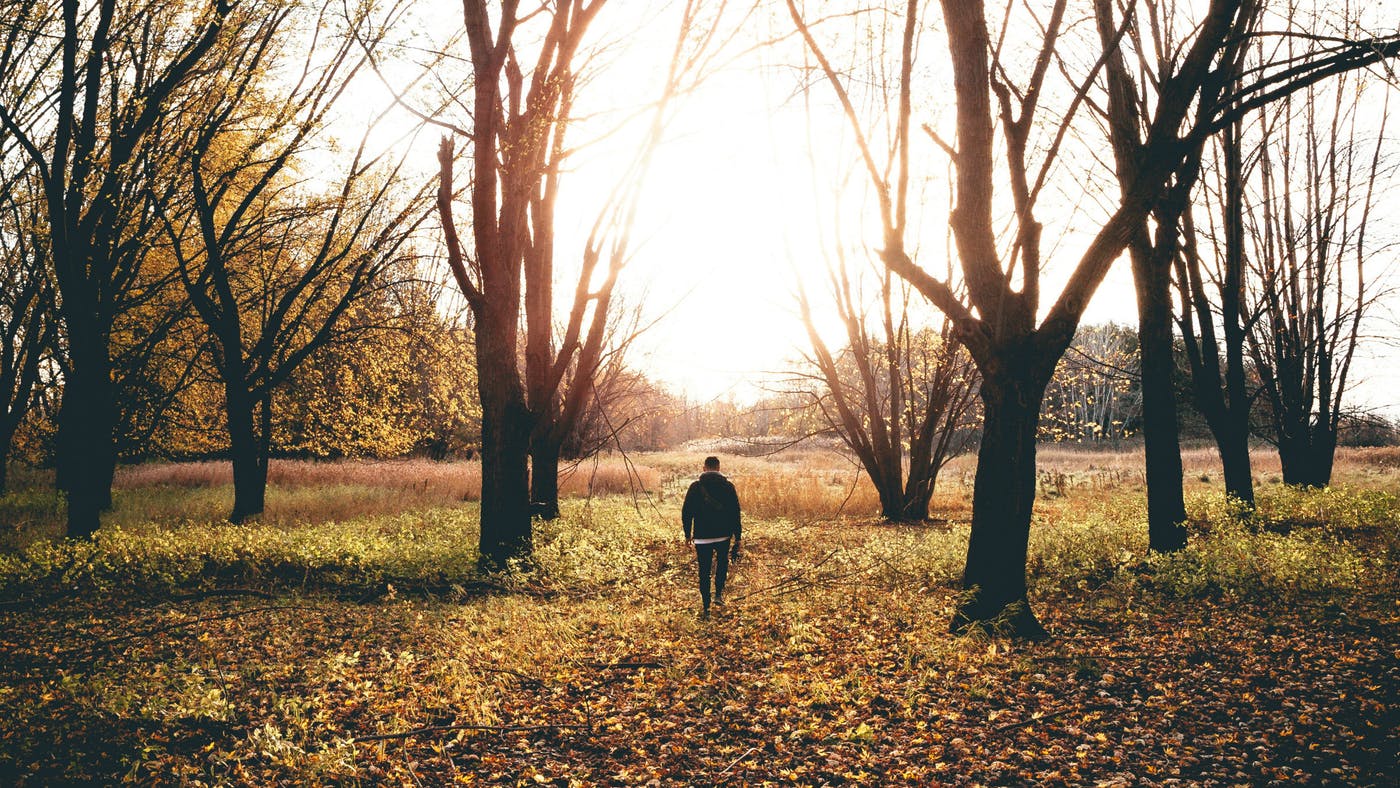Blog-I Will Magnify Him with Thanksgiving-AllThingsFaithful