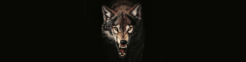 Post-Blog-Isolation from the Church Is Dangerous-AllThingsFaithful