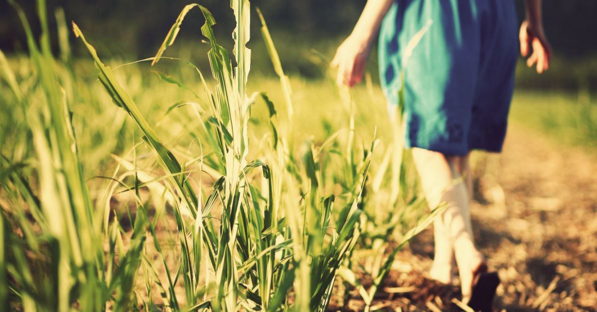 Blogs-What Is Grace?-AllThingsFaithful