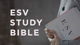 Post-Bible Verses-100 Bibles Verses about Waiting On God-AllThingsFaithful