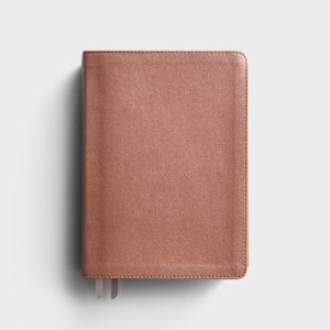 bibles-shereadstruth-allthingsfaithful