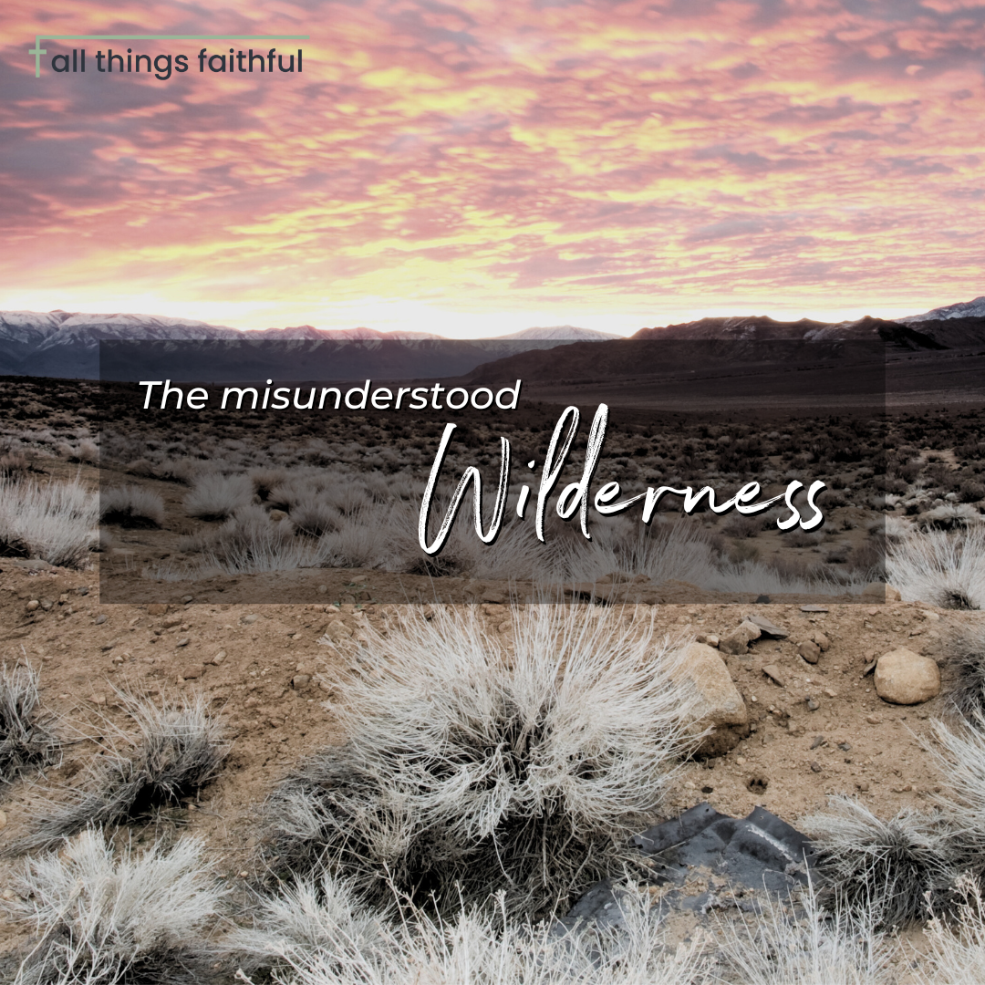devotionals-themisunderstoodwilderness-allthingsfaithful