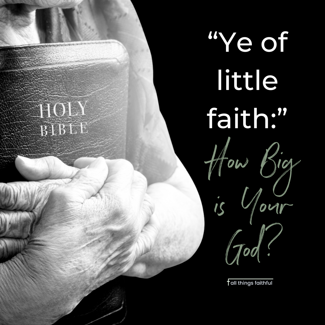 devotionals-howbigisyourgod-allthingsfaithful
