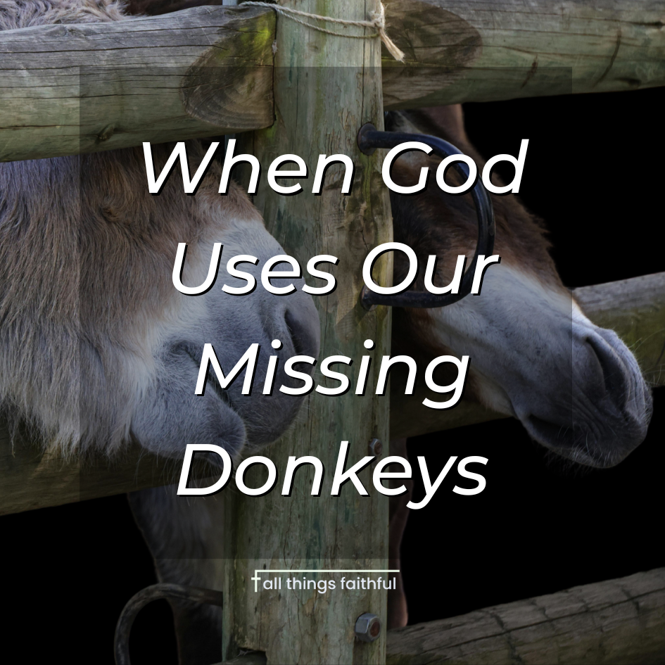 devotionals-whengodusesourlostdonkeys-allthingsfaithful