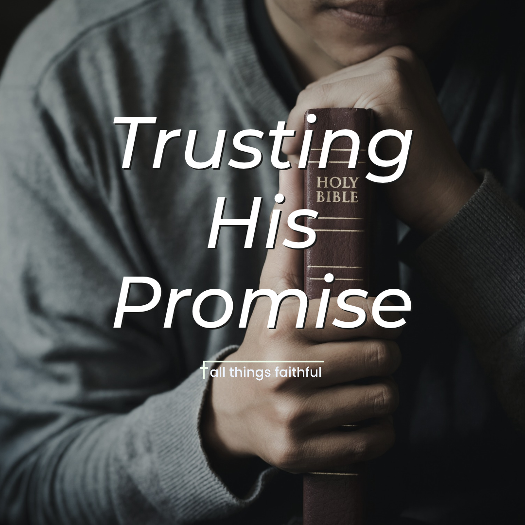 devotionals-trustinghispromise-allthingsfaithful